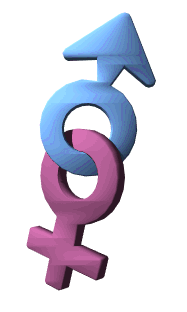 Simbolo-Masculino-Femenino-84412